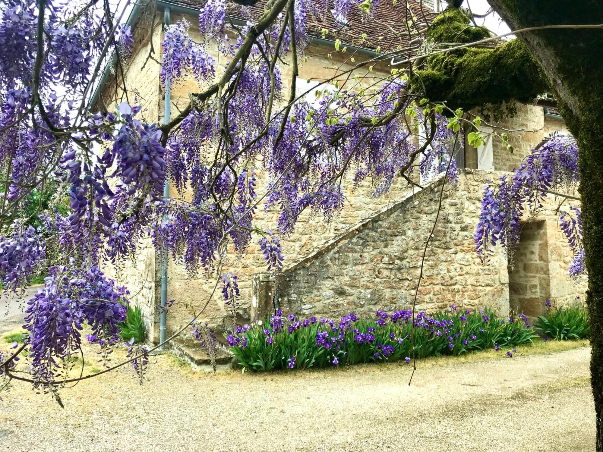 Manoir De Rieuzal Bed and Breakfast Loubressac Exteriör bild