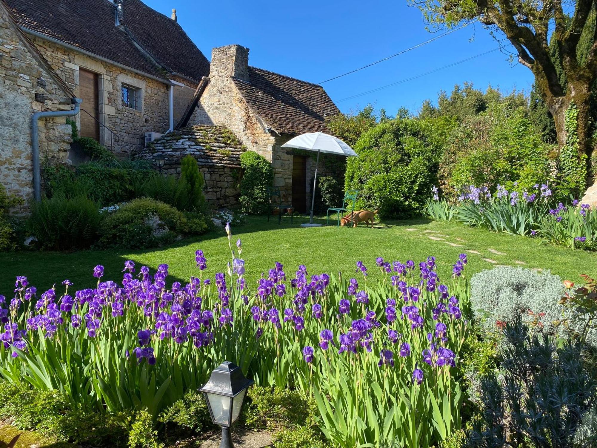 Manoir De Rieuzal Bed and Breakfast Loubressac Exteriör bild