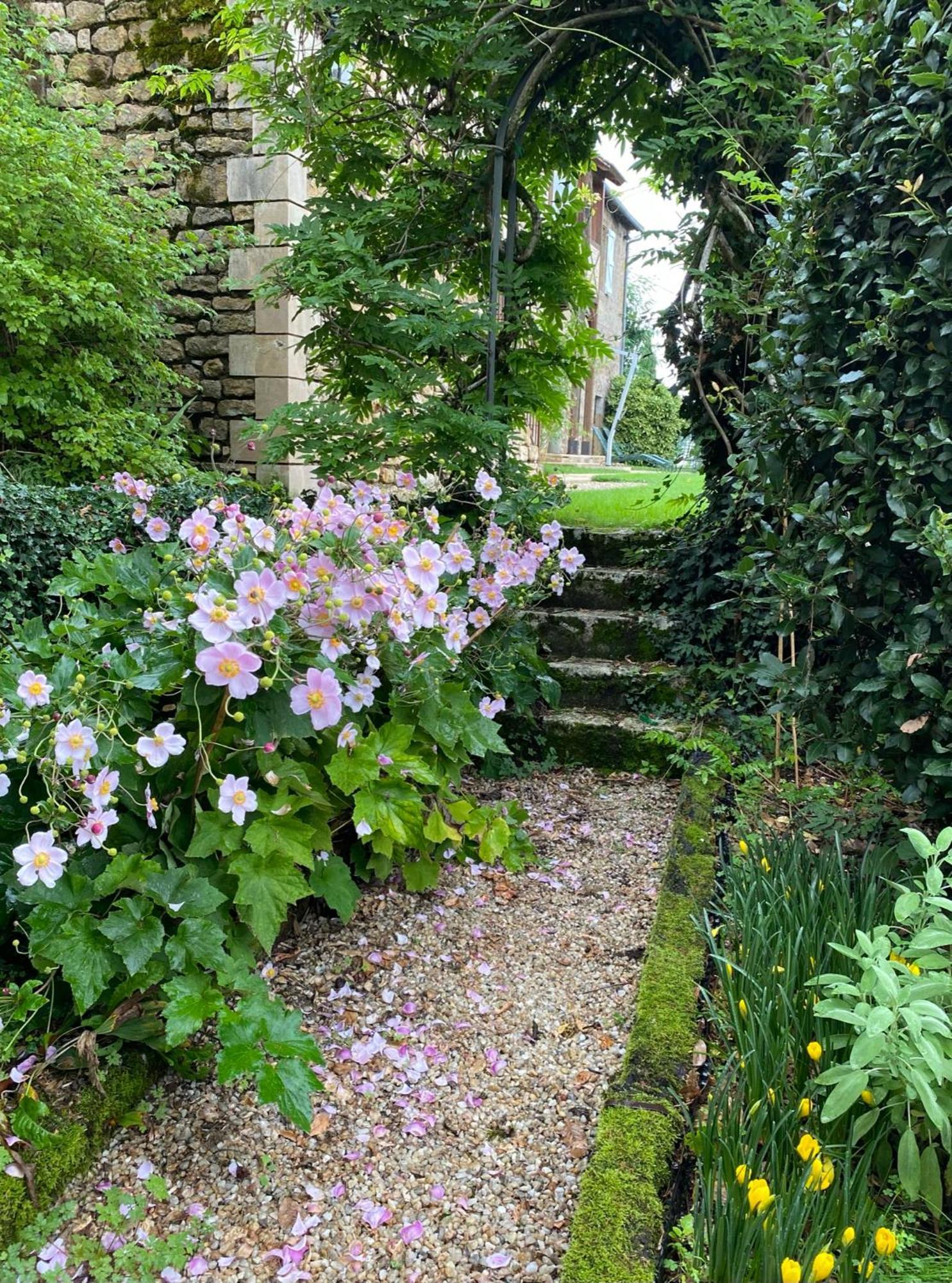 Manoir De Rieuzal Bed and Breakfast Loubressac Exteriör bild