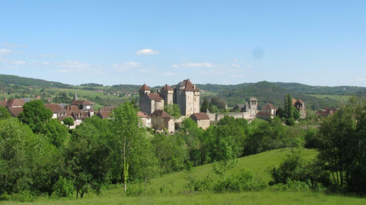 Manoir De Rieuzal Bed and Breakfast Loubressac Exteriör bild